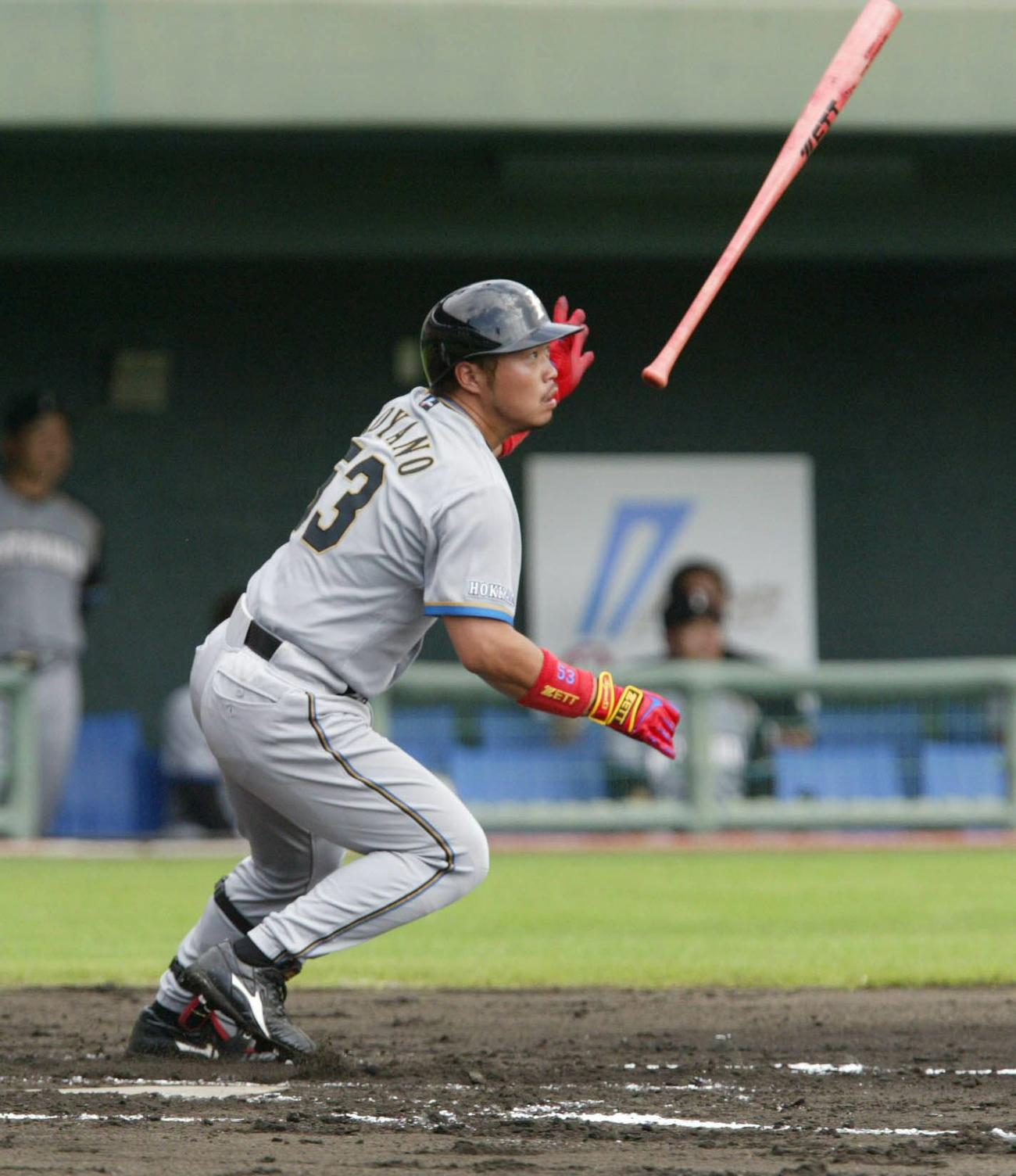 03、04年小谷野栄一
