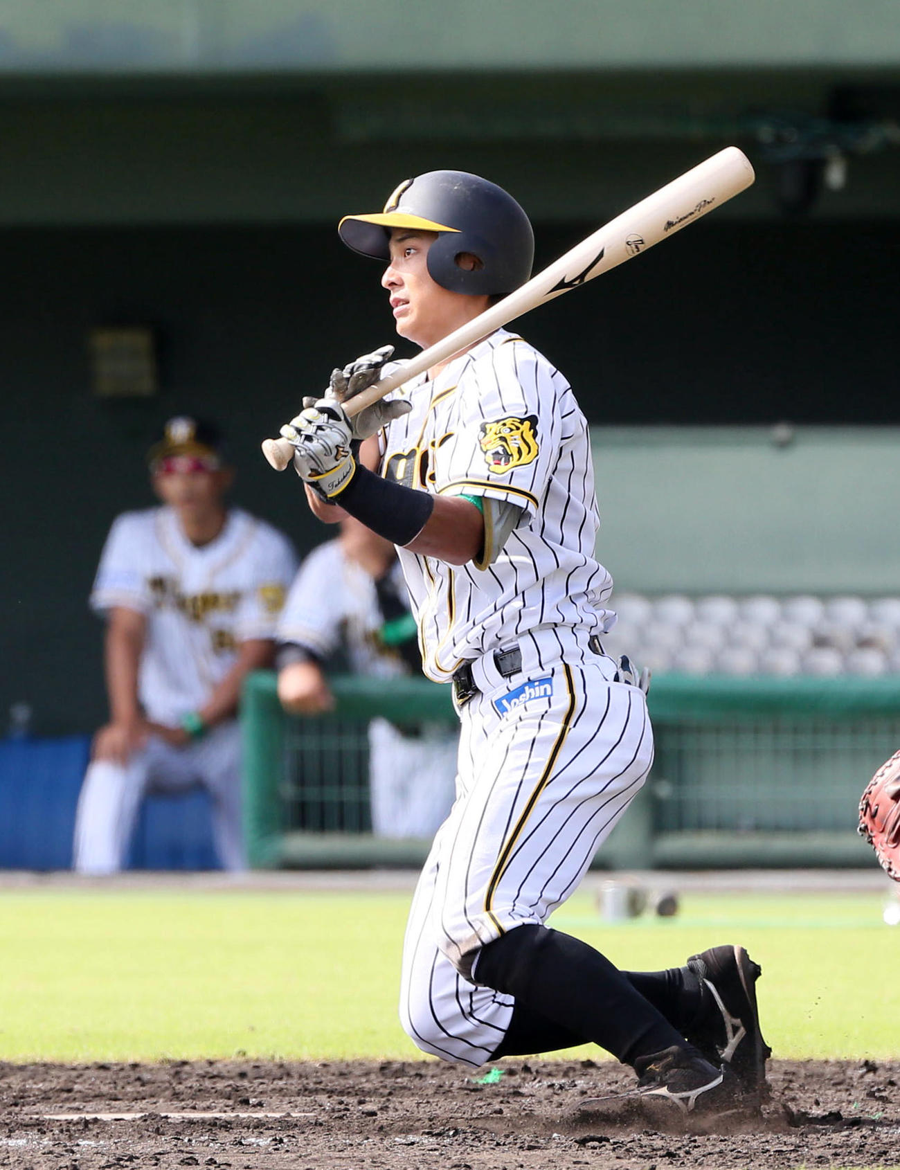 阪神熊谷敬宥＝2018年10月