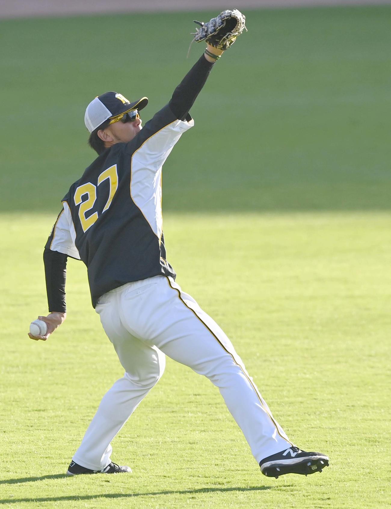 広島対阪神　キャッチボールをして調整する伊藤将（撮影・上田博志）