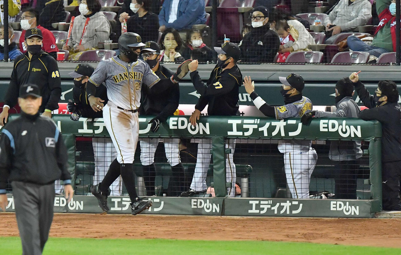 広島対阪神　7回表阪神2死一、三塁、坂本の中前同点適時打で生還し、ナインとハイタッチするロハス（撮影・上田博志）