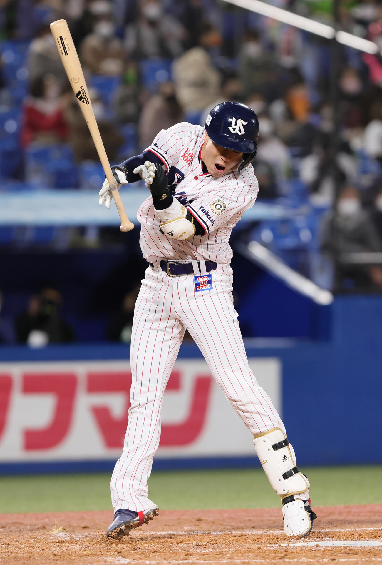ヤクルト対巨人　5回裏ヤクルト1死、2打席連続で死球を受ける山田（撮影・足立雅史）