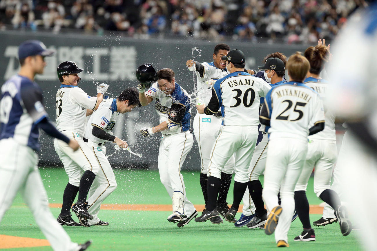 日本ハム対西武　9回裏日本ハム1死満塁、松本（中央）はサヨナラとなる押し出し四球を選びチームメートから祝福される（撮影・佐藤翔太）