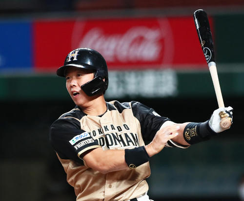 日本ハム鶴岡慎也捕手兼コーチが来季構想外 残留打診も現役続行へ強い意欲 プロ野球 日刊スポーツ