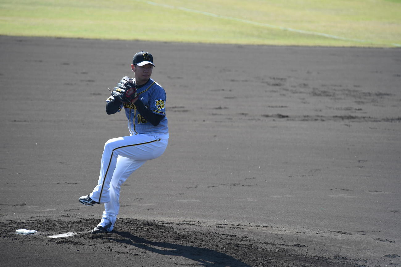 みやざきフェニックス・リーグ西武戦に先発する阪神西勇輝投手