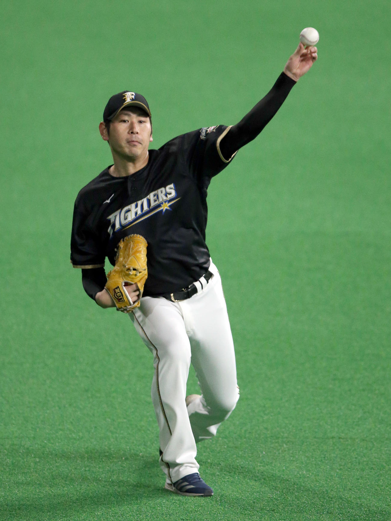 キャッチボールをする日本ハム加藤（撮影・佐藤翔太）