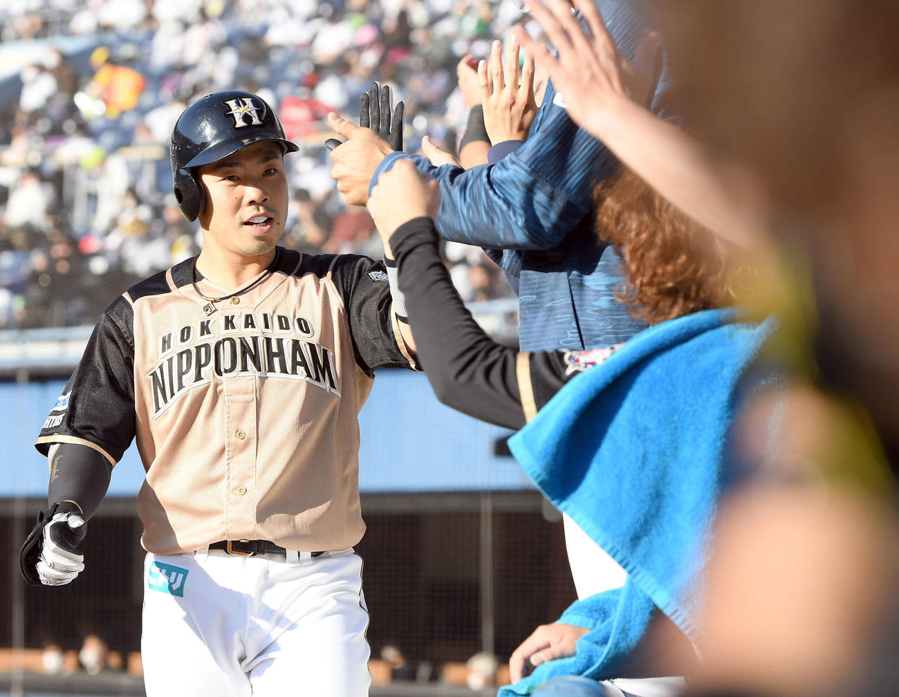 ロッテ対日本ハム　4回表日本ハム無死、ソロ本塁打を放った近藤は、ナインとハイタッチ（撮影・たえ見朱実）