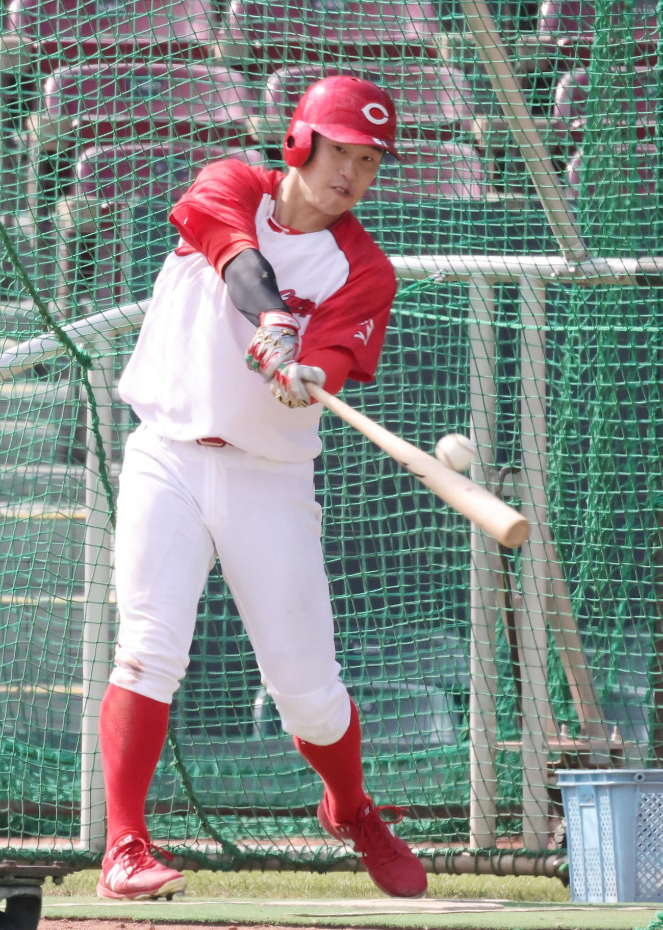 広島全体練習　打撃練習をする小園（撮影・加藤孝規）