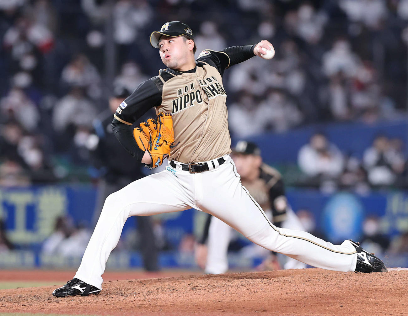 日本ハム堀瑞輝（2021年10月29日撮影）