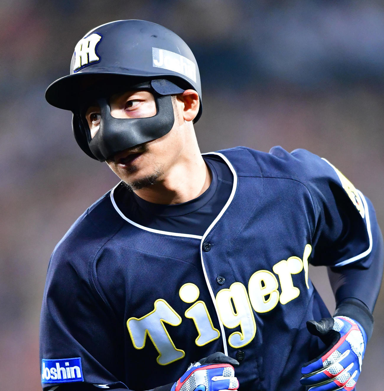 17年5月25日、鼻骨骨折をした鳥谷は、フェースガードを装着して代打出場し、三ゴロに倒れる