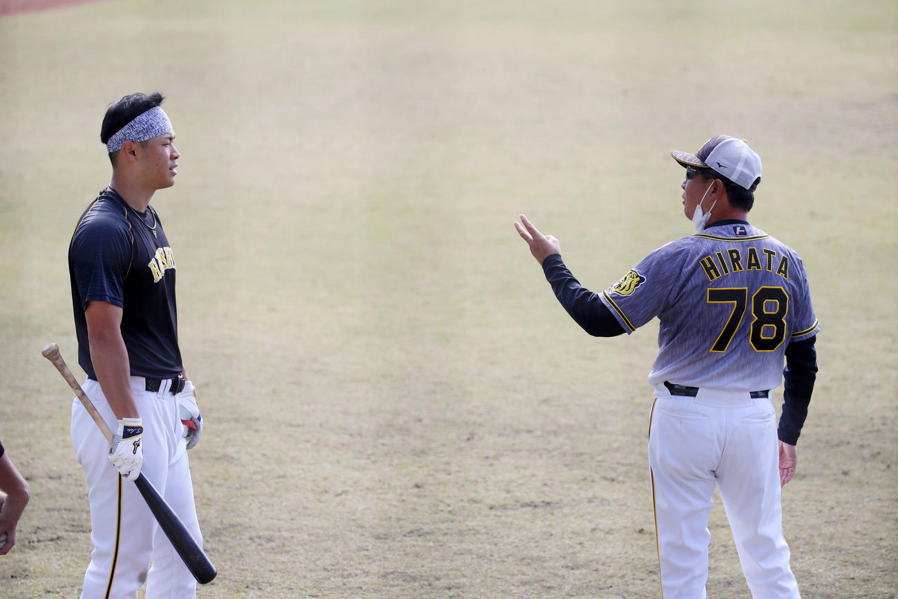 ロッテ対阪神　佐藤輝（左）と話す平田監督（撮影・加藤哉）