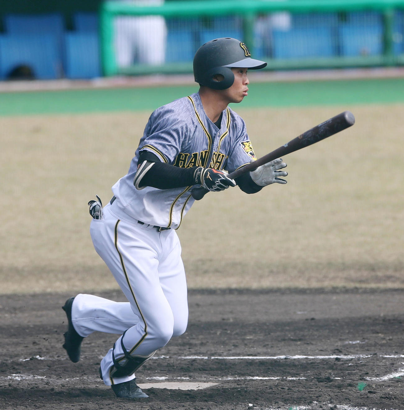 ロッテ対阪神　2回表阪神無死一、三塁、島田は右前適時打を放つ（撮影・加藤哉）