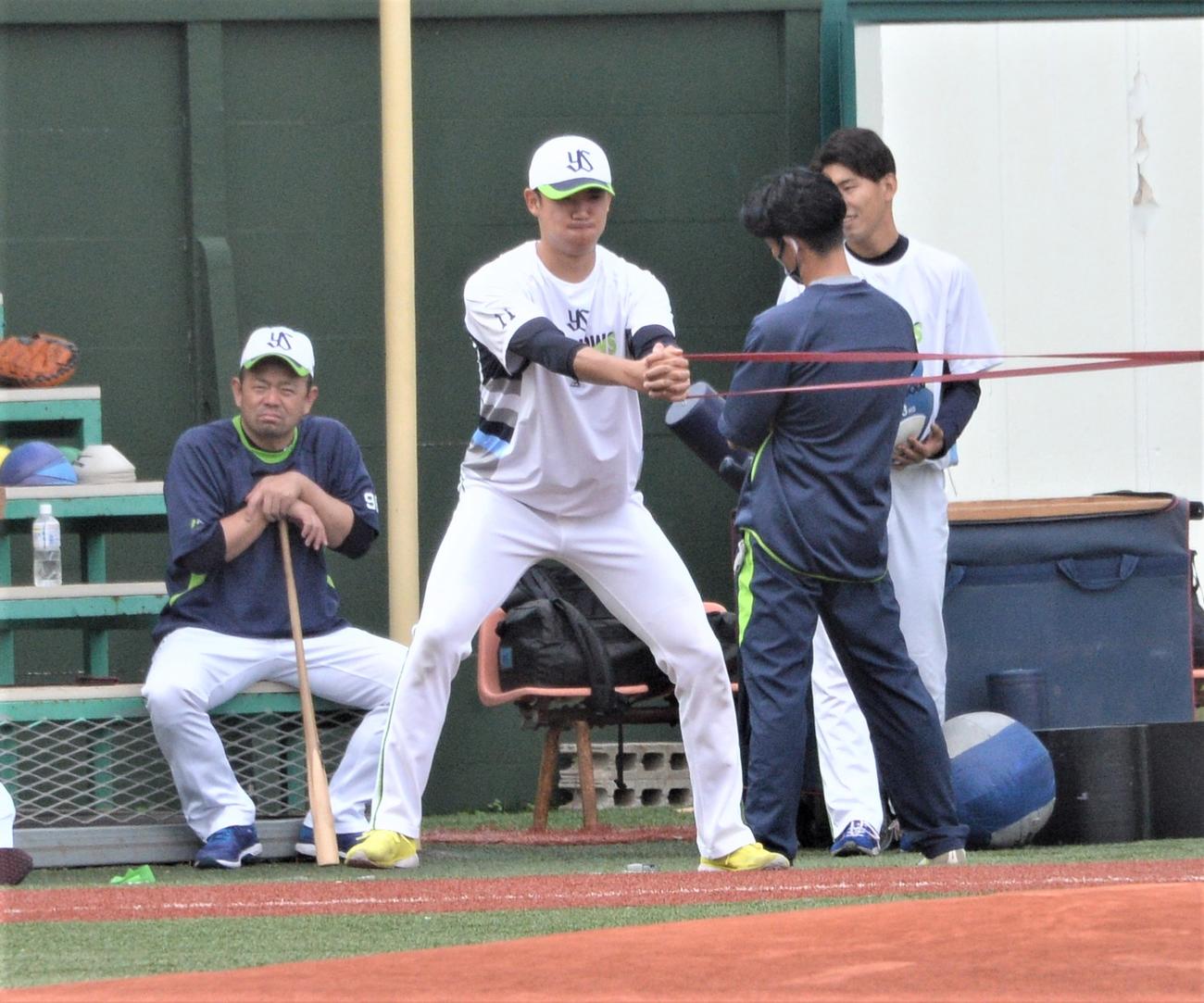 チューブトレーニングを行うヤクルト奥川。左は石井投手コーチ（撮影・鈴木正章）