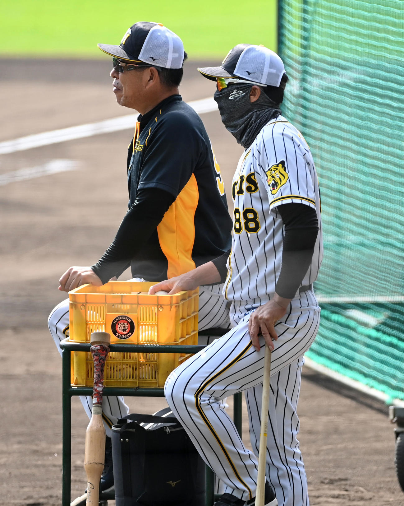 井上ヘッドコーチ（左）と練習を見る矢野監督（撮影・前岡正明）
