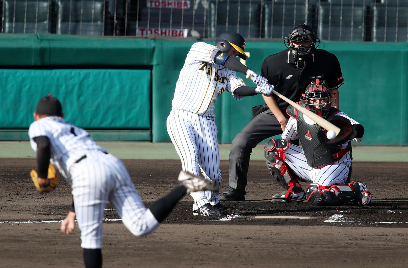 阪神対倉敷オーシャンズ　6回裏阪神無死、代打近本は遊失で出塁、投手はロッテドラフト3位指名の広畑（撮影・加藤哉）