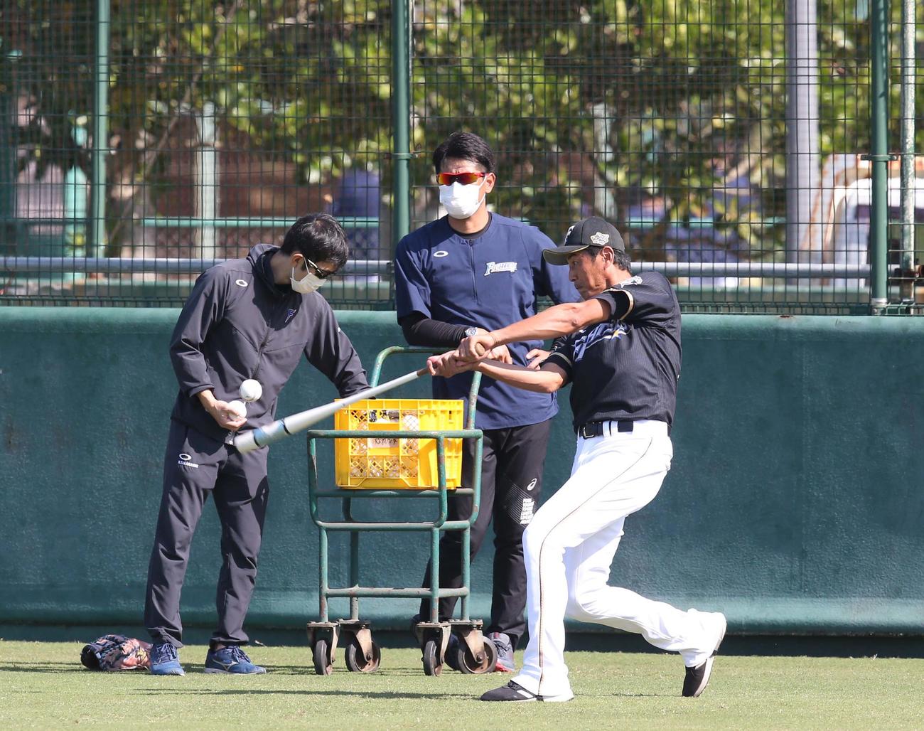 外野ノックを見つめる稲葉GM（中央）（撮影・黒川智章）