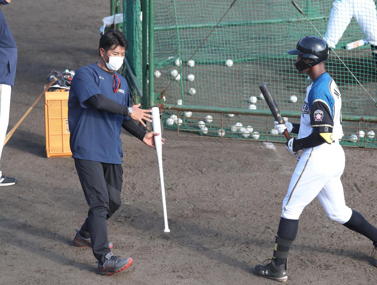 万波に打撃指導する日本ハム稲葉GM（撮影・黒川智章）