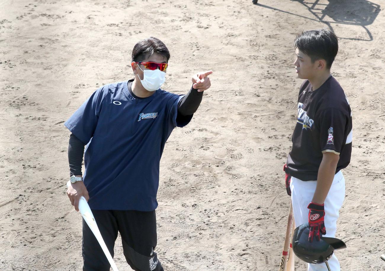 秋季キャンプで野村佑希に指導する日本ハム稲葉GM（撮影・黒川智章）