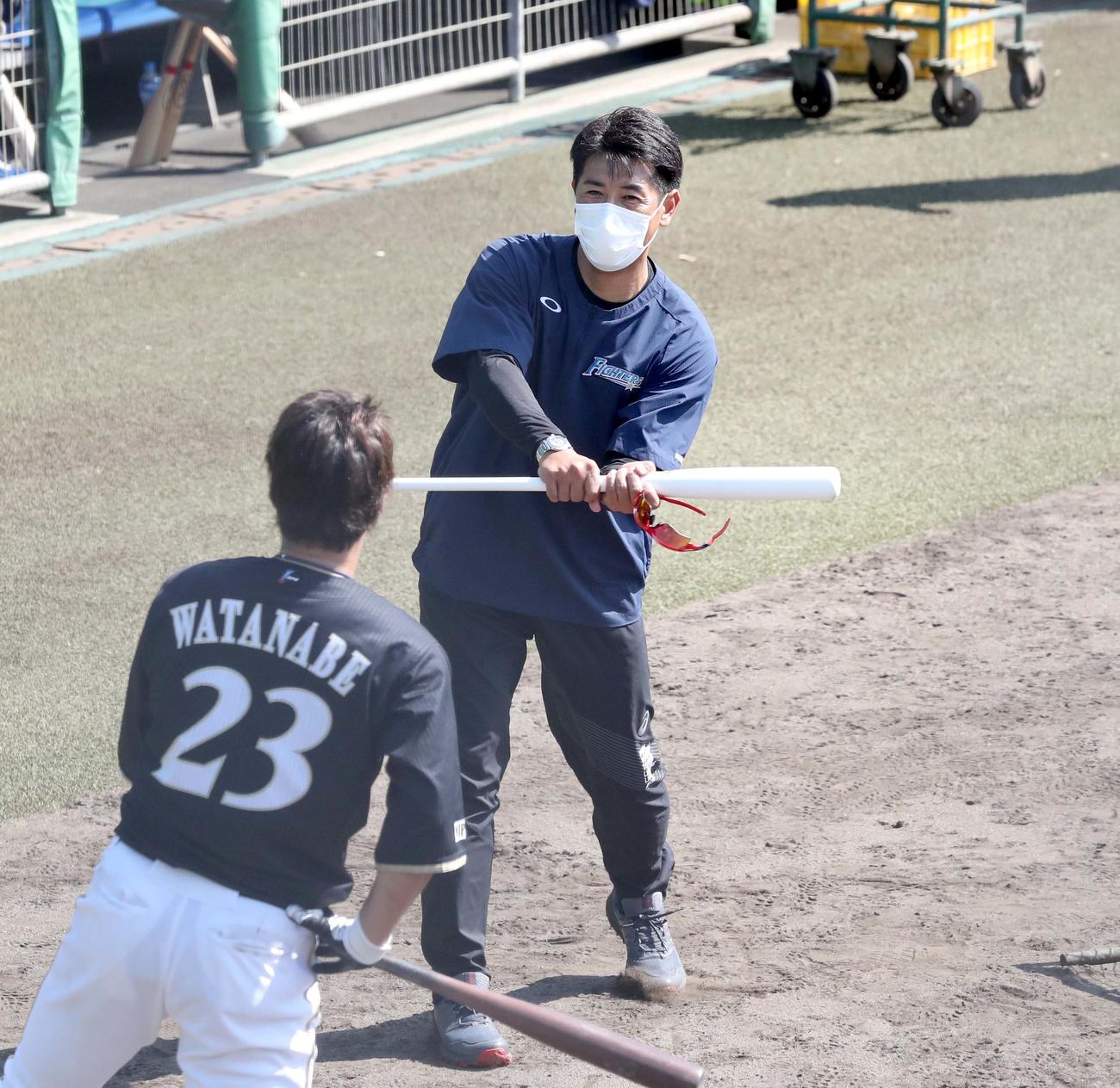 渡辺に打撃指導する日本ハム稲葉GM（撮影・黒川智章）
