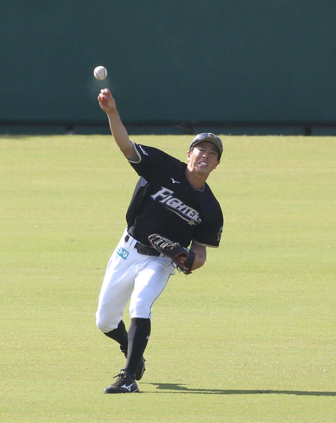 外野から送球練習する五十幡（撮影・黒川智章）