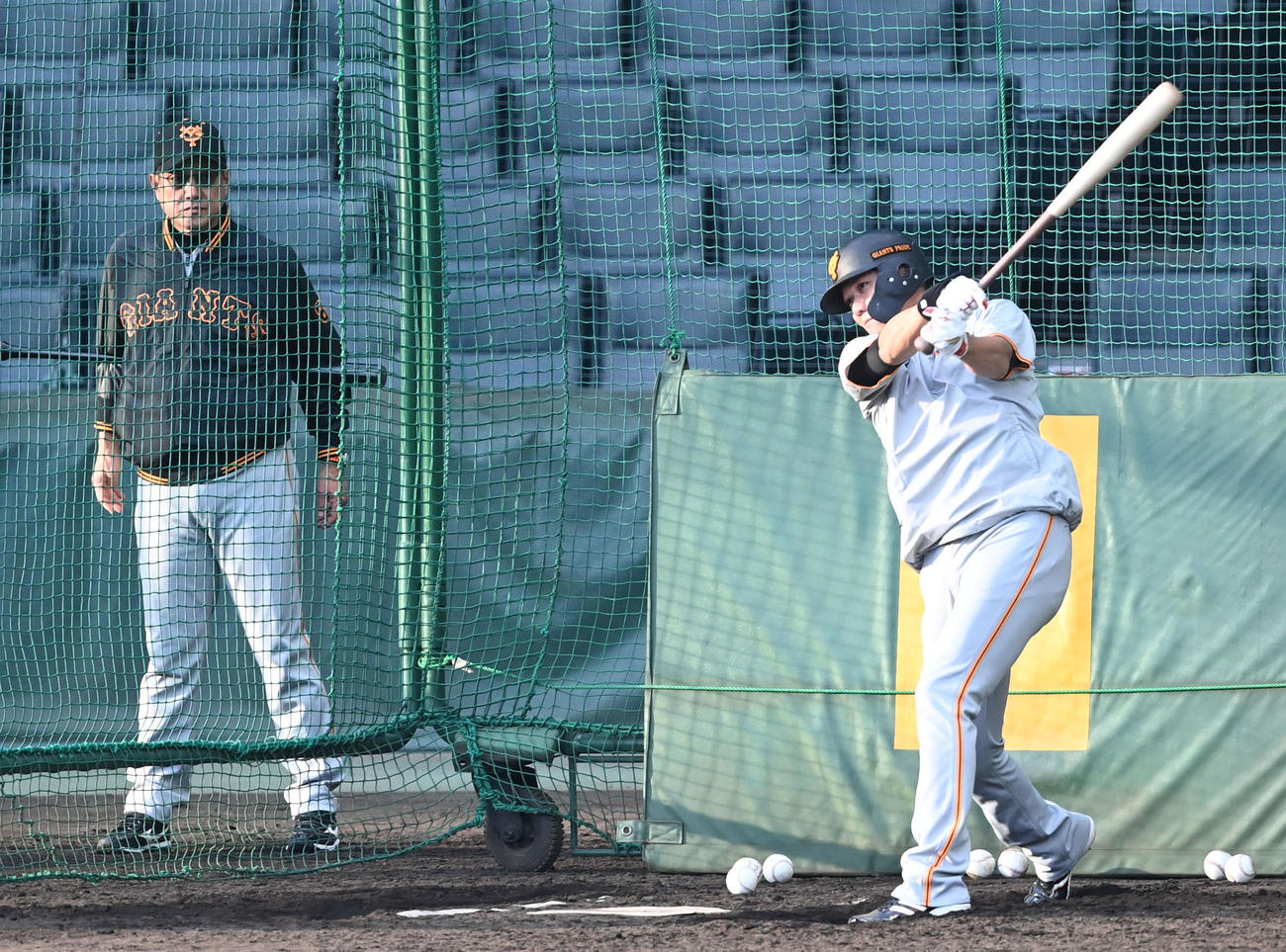 原監督が見守る中、打撃練習を行う坂本（撮影・前岡正明）