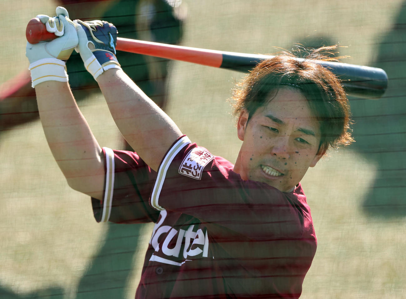 打撃練習を行う楽天鈴木（撮影・垰建太）