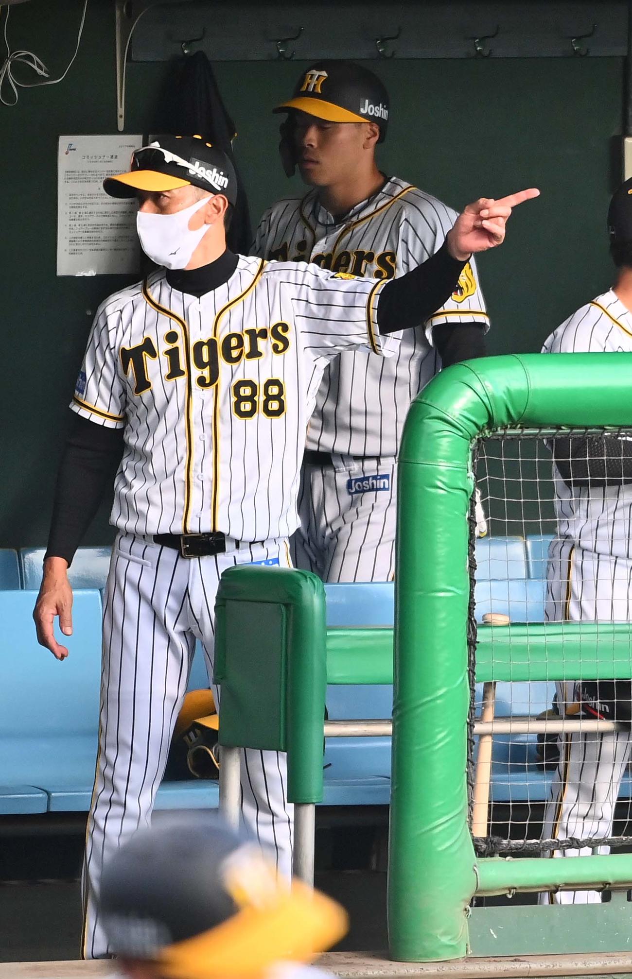 阪神対NTT西日本　7回裏阪神無死、左飛に倒れベンチで悔しそうな表情を見せる佐藤輝。左は矢野監督（撮影・上田博志）
