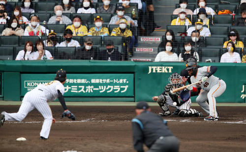 阪神対巨人　5回表巨人無死一塁、ウィーラーは投前犠打を決める。投手は高橋（撮影・加藤哉）