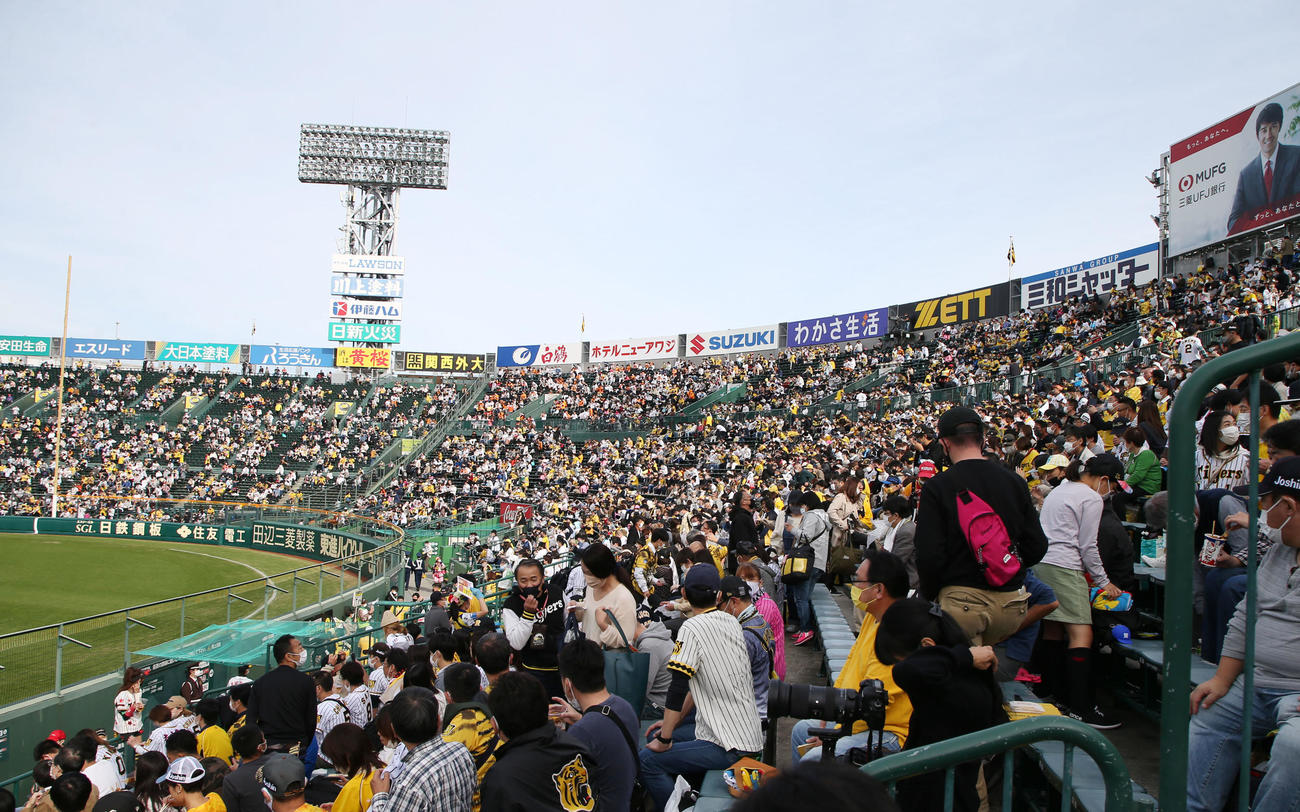阪神対巨人　試合開始を待つ甲子園（撮影・加藤哉）