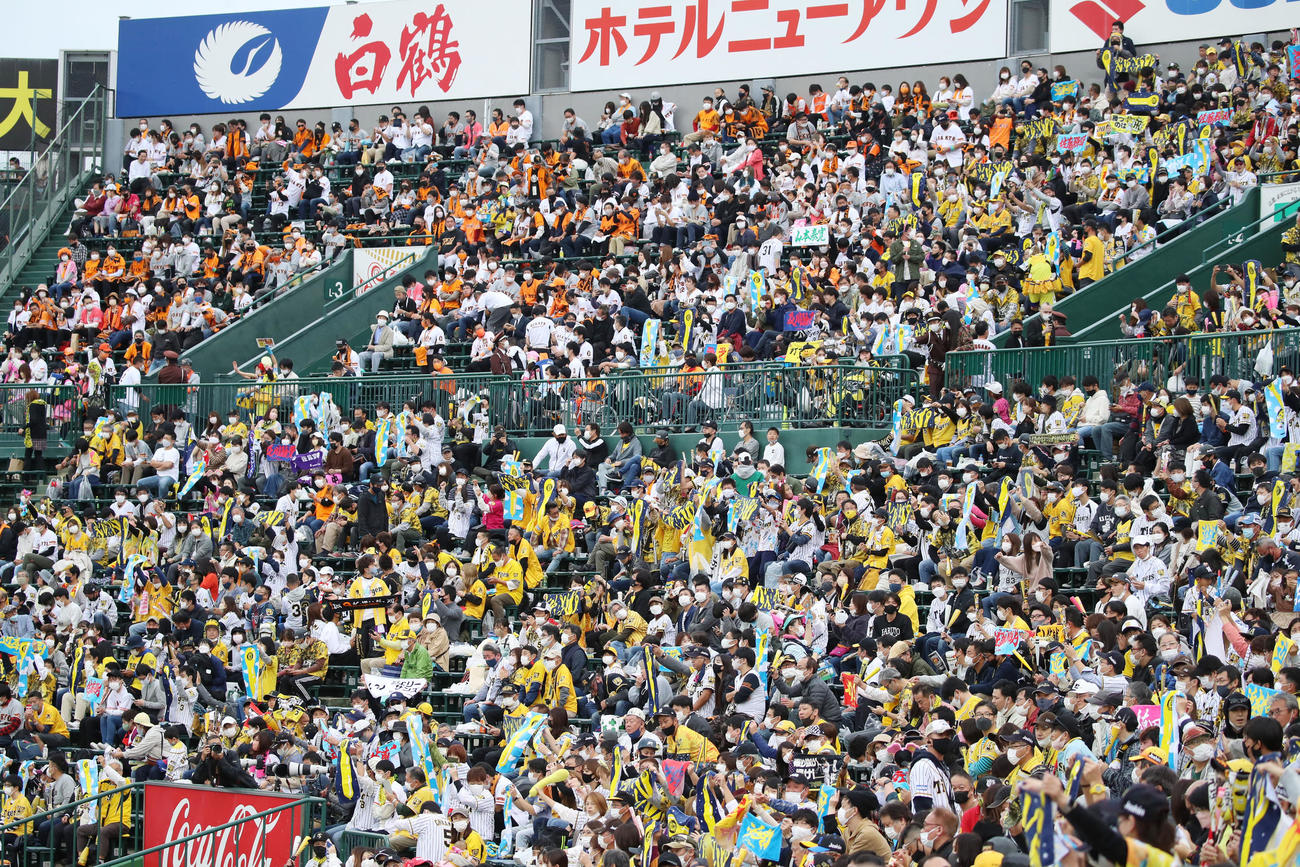 阪神対巨人　声援を送る両チームのファン（撮影・加藤哉）
