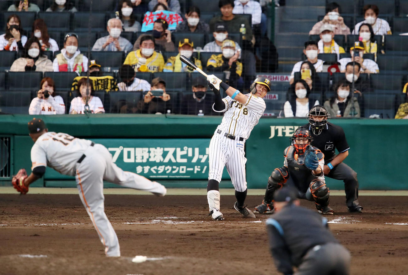 阪神対巨人　8回裏阪神1死一塁、代打佐藤輝は空振り三振。投手はデラロサ（撮影・加藤哉）