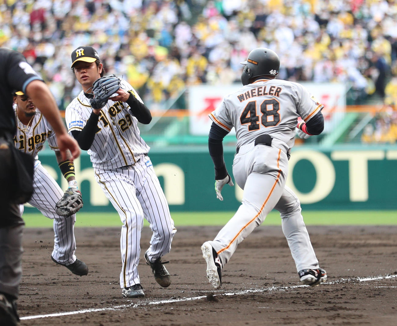 CSファーストステージ阪神対巨人　5回表巨人無死一塁、ウィーラーが投前にバント犠打を決める。投手高橋（撮影・清水貴仁）