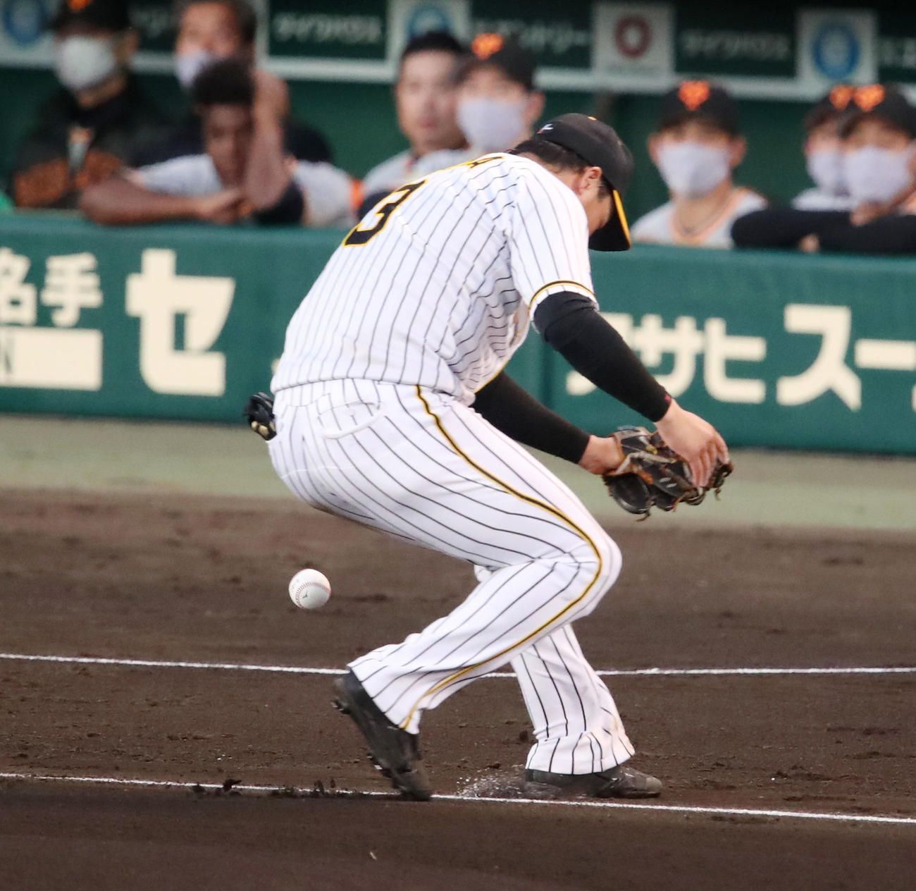 阪神対巨人　8回表巨人無死、大山は坂本の打球をエラーする（撮影・加藤哉）