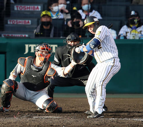 阪神対巨人　5回裏阪神2死二塁、梅野はグリップにボールを当て捕前ゴロとなる（撮影・加藤哉）