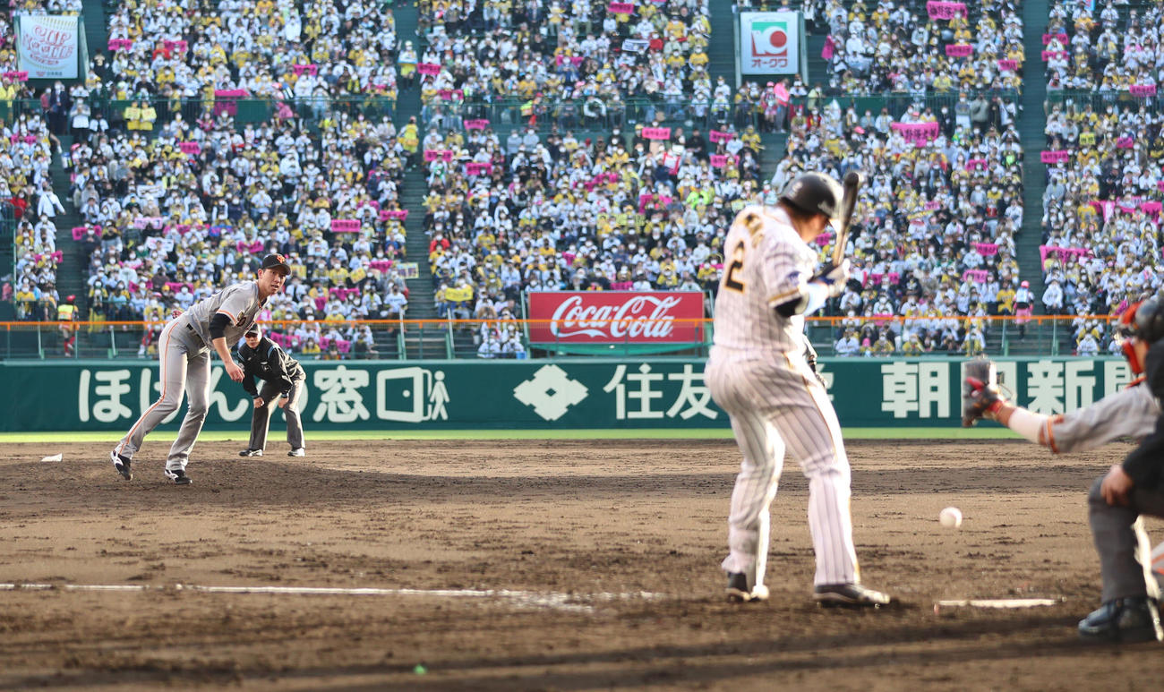 CSファーストステージ阪神対巨人　5回裏阪神2死二塁、グリップエンドに当たりバント判定で捕手前のゴロに倒れる梅野。投手戸郷（撮影・清水貴仁）