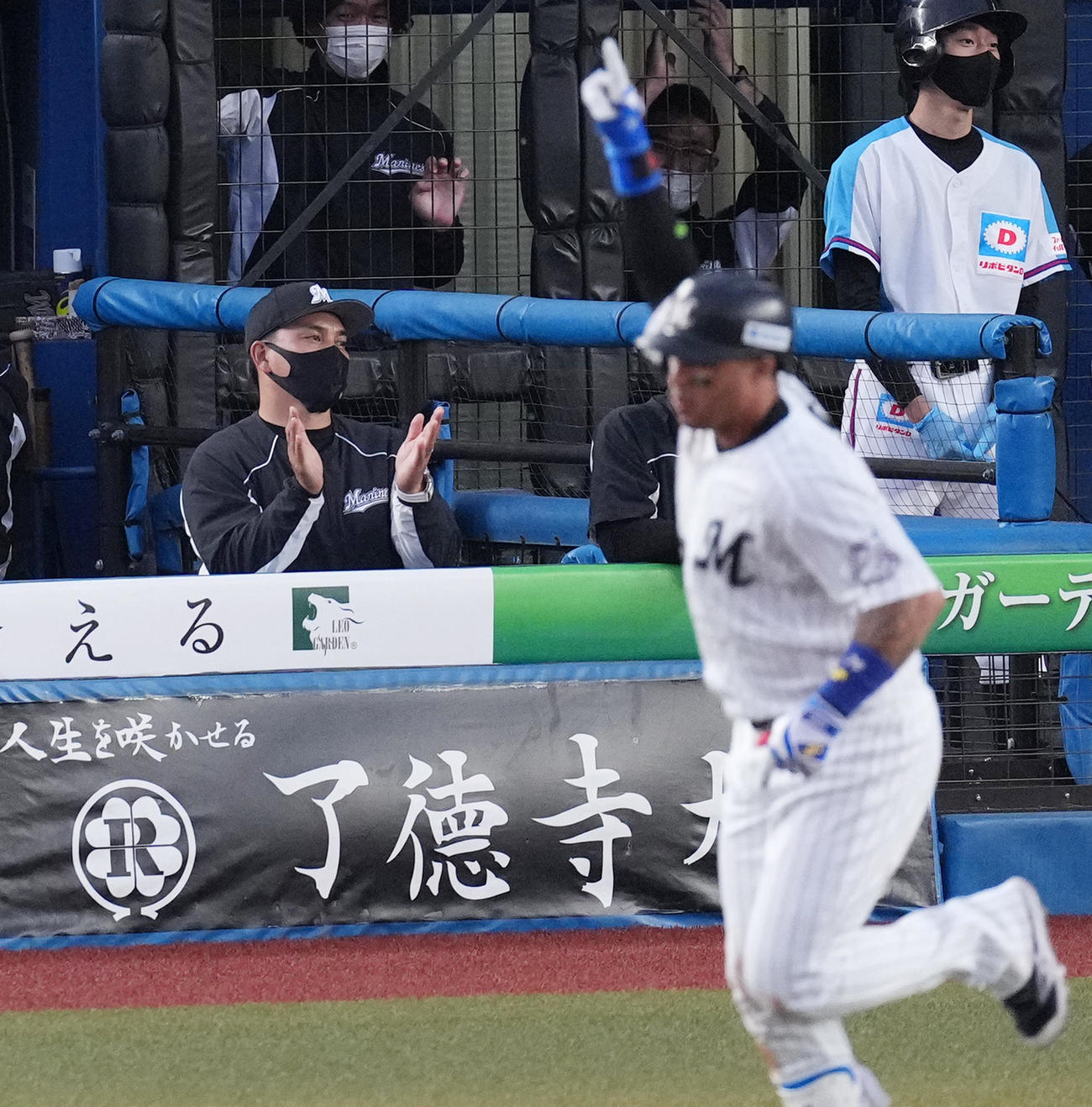 ロッテ対楽天　7回裏ロッテ2死、マーティン（手前）の同点の本塁打にベンチで手をたたく井口監督（撮影・菅敏）