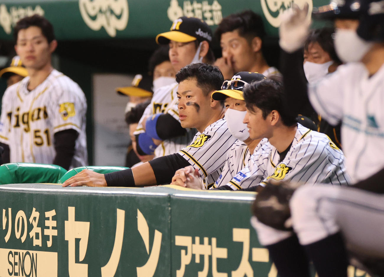 阪神対巨人　9回、ベンチで厳しい顔をみせる阪神佐藤輝（中央）（撮影・清水貴仁）