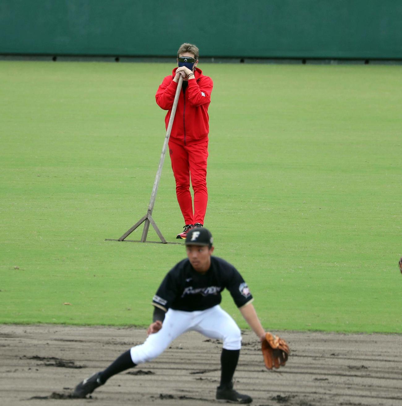 11時29分　練習を見つめる新庄監督（撮影・黒川智章）