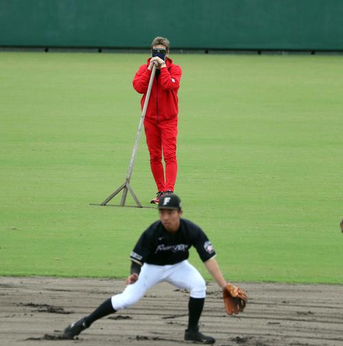 11時29分 練習を見つめる新庄監督(撮影・黒川智章)
