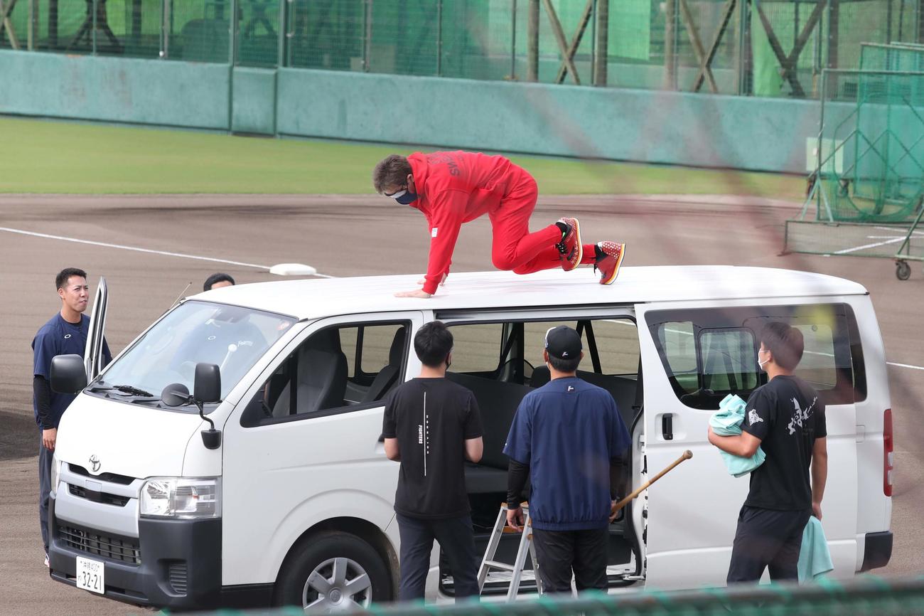 グラウンドに車を入れ屋根に登る新庄監督（撮影・黒川智章）