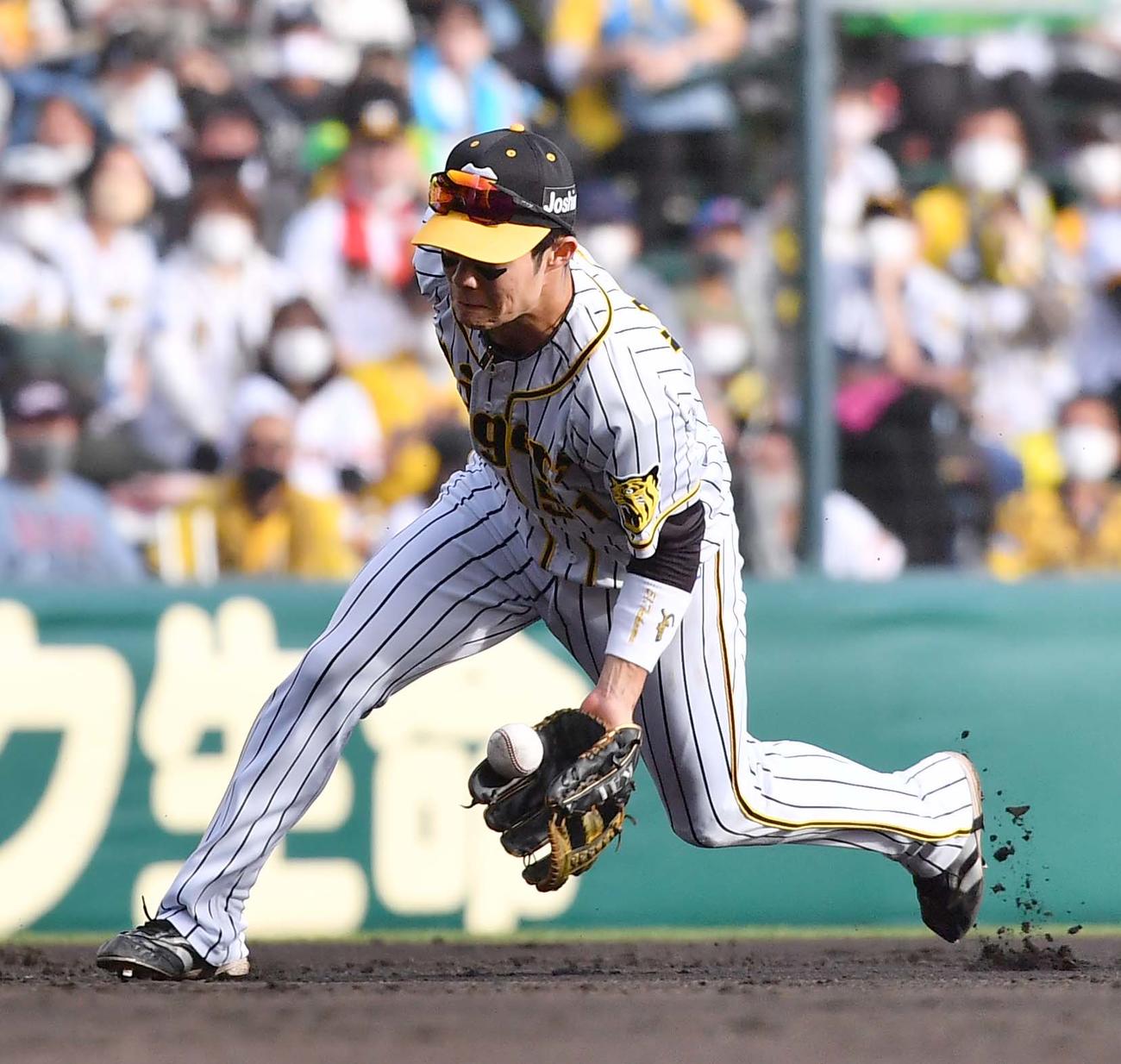 阪神対巨人　3回表巨人無死、吉川のゴロを失策する中野（2021年11月7日撮影）