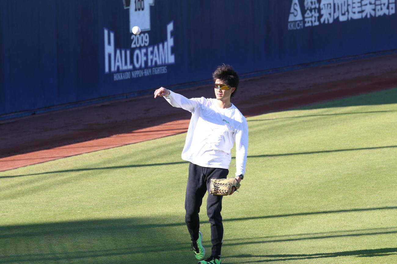 キャッチボールする日本ハム西川（撮影・田中彩友美）