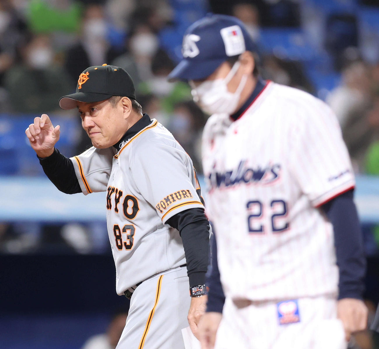 ヤクルト対巨人　試合前練習、メンバー表を交換する原監督（左）と高津監督（撮影・河田真司）