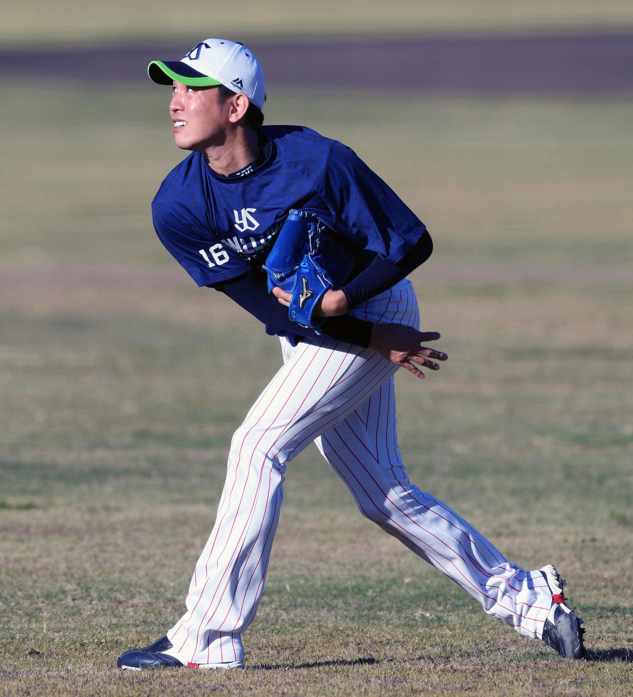 ヤクルト対巨人　試合前練習のキャッチボールで調整するヤクルト原（撮影・滝沢徹郎）