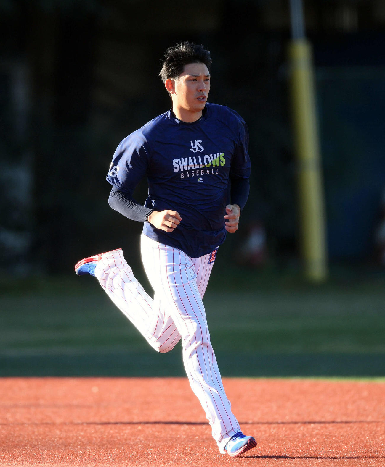 ヤクルト対巨人　試合前練習で調整するヤクルト原（撮影・滝沢徹郎）