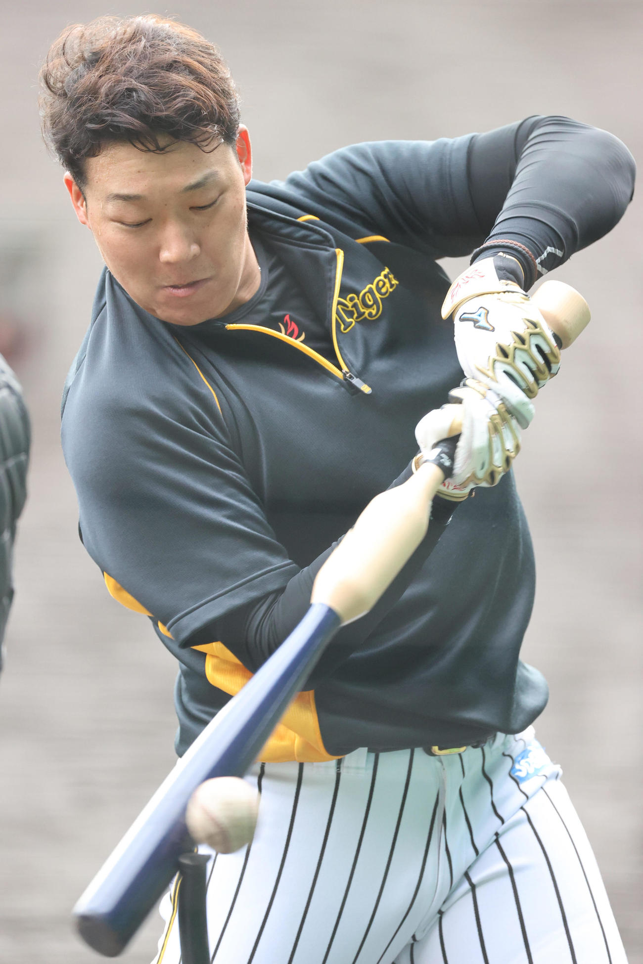 トス打撃を行う阪神大山（撮影・清水貴仁）