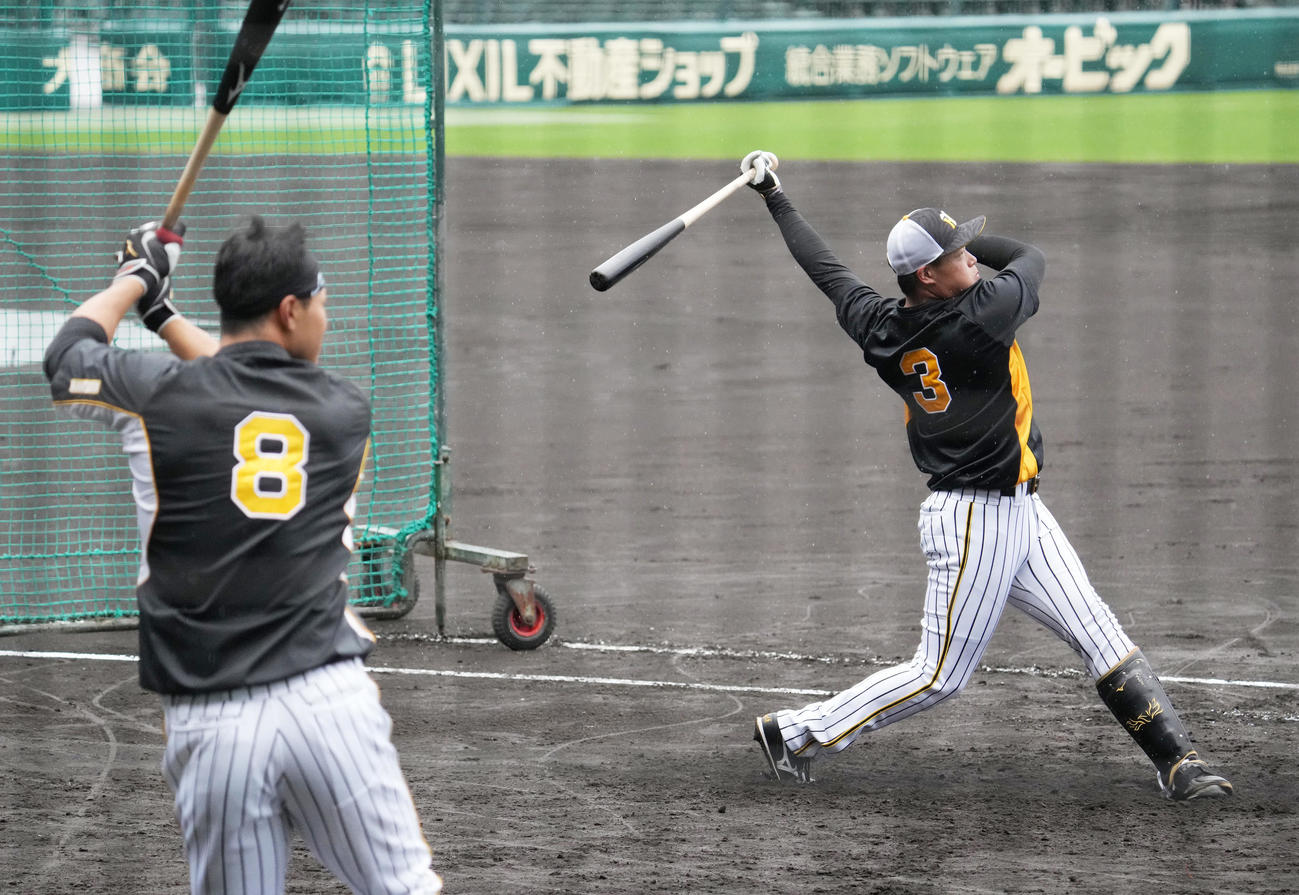 ロングティーを行う阪神大山（奥）、手前は佐藤輝（撮影・清水貴仁）