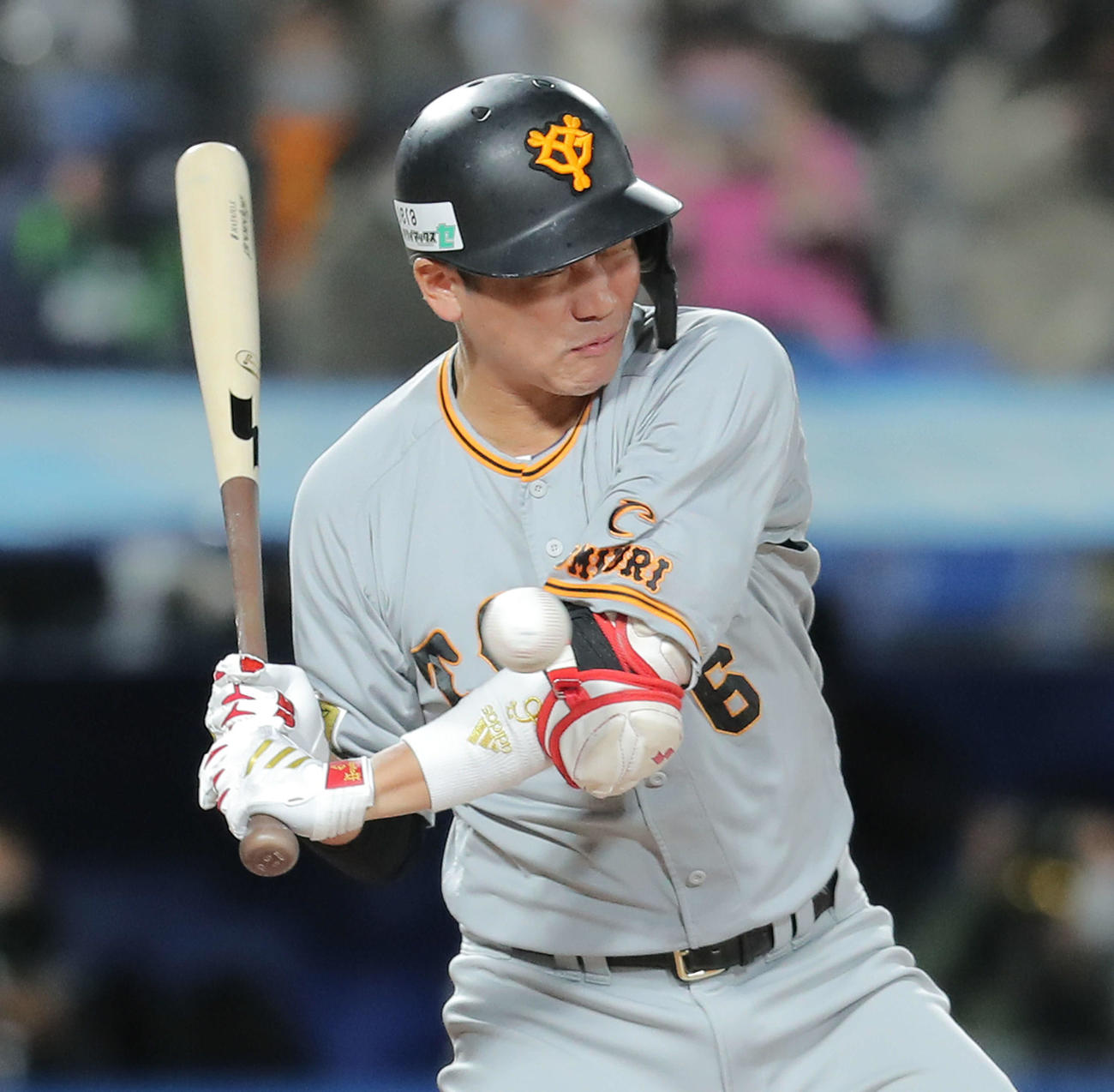 ヤクルト対巨人　1回表巨人2死、死球を受ける坂本（撮影・河田真司）