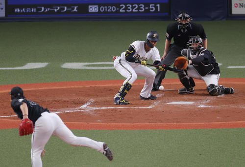オリックス対ロッテ　4回裏オリックス無死一塁、一塁へ犠打を決める宗。投手岩下（撮影・前田充）