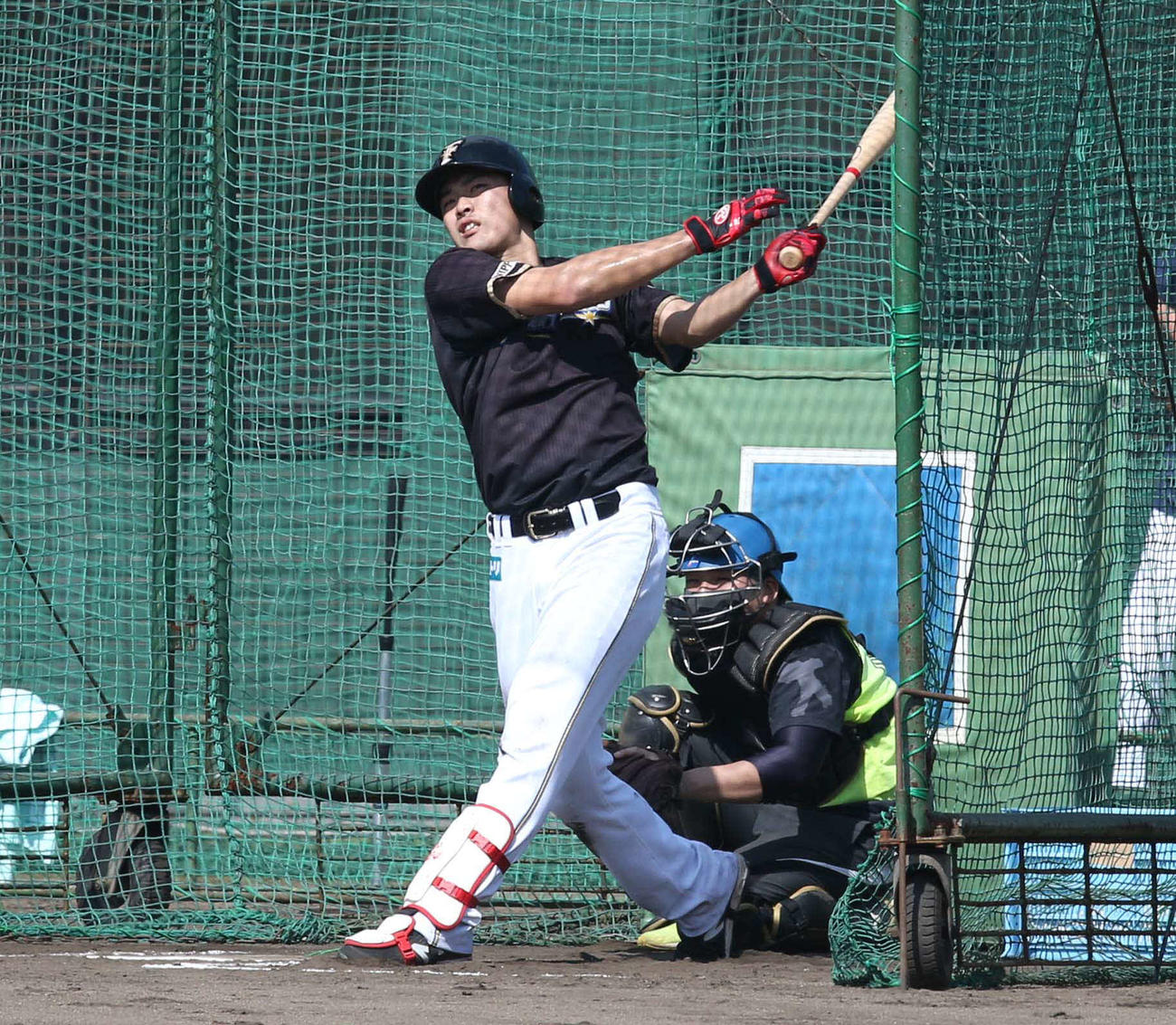 秋季キャンプでフリー打撃する野村