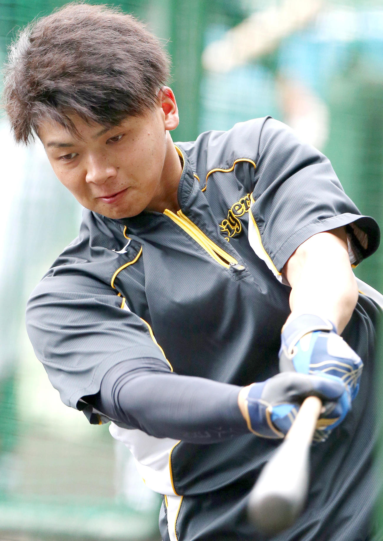 阪神対ソフトバンク　試合前の練習でトス打撃する井上（撮影・上山淳一）
